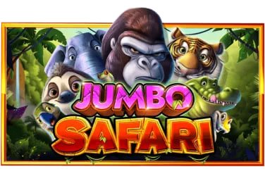 imajbet